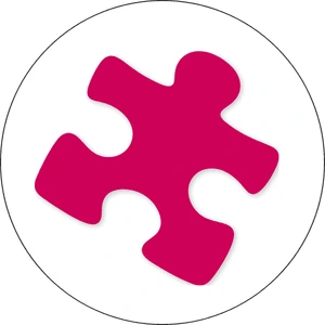The Best Connection logo