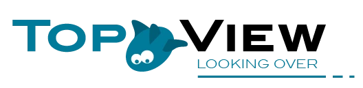 TopView srl logo