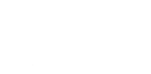 Trego-Dugan Aviation logo