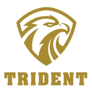 TRIDENT MILITARY SYSTEMS LLC logo