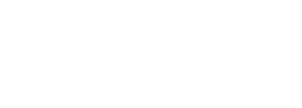 TU Dresden Chair of Aircraft Engineering logo
