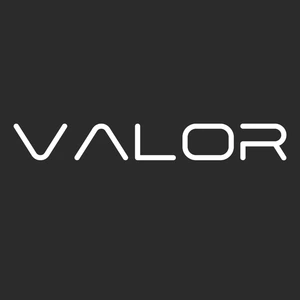 Valor Jets logo