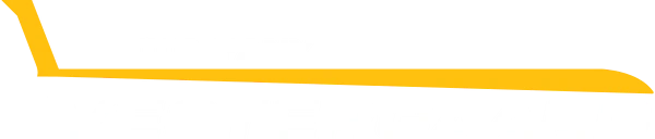 Vestergaard Company logo