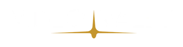 Video Valet logo