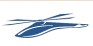 Vision Air International logo