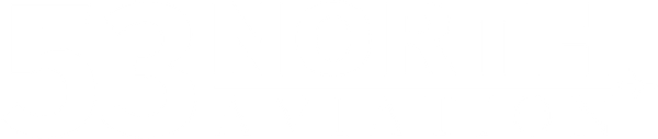 53 North Aviation logo