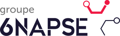 6NAPSE Group logo