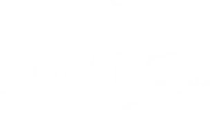 Advanced Aviation logo