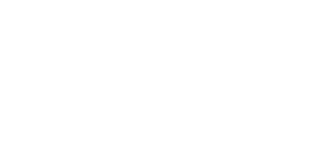 Advanced Flight Limited logo