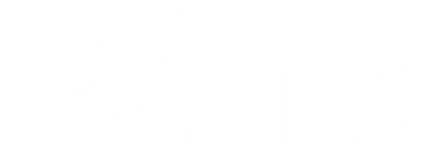 Aircraft Electronics Association logo