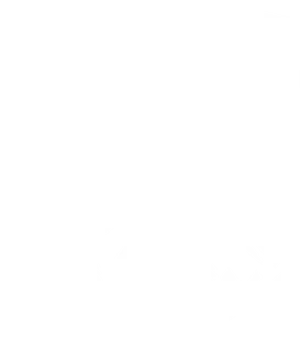 Alpine Aviation Group, LLC logo