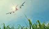 Aman Aviation & Aerospace Solutions logo