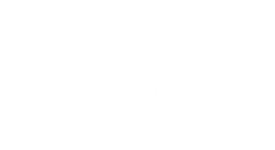 AMEENAVIA logo