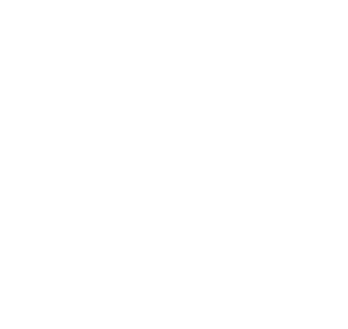 American Winds logo