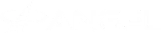 Angel Aerial Systems logo