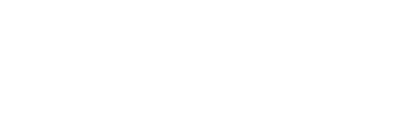 Avion Prive logo
