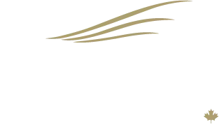 Bailey Helicopters Ltd. logo