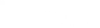 Bastion Aviation logo