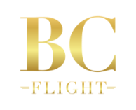 BC Flight logo