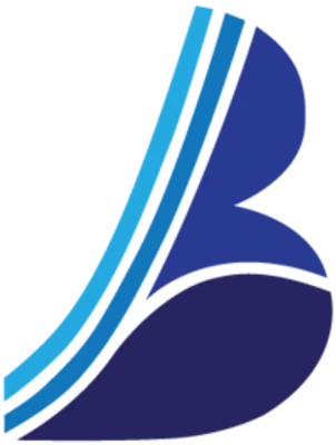 Bernoulli Aerospace logo