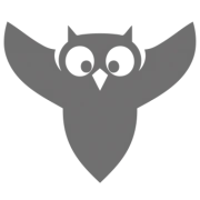 BIRD Aerosystems logo