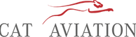 Cat Aviation logo
