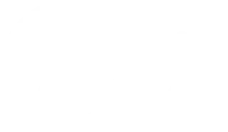 CAV Systems Ltd logo