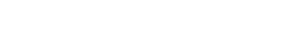 Centurion Jets logo