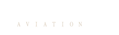 Corporate Jet Aviation logo