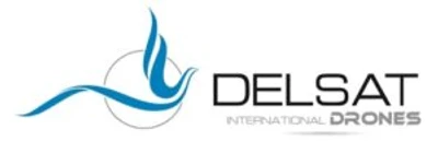 Delsat International Group logo
