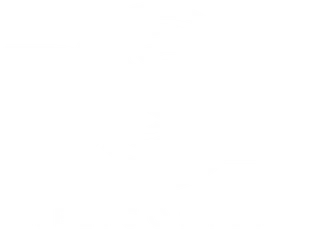 DSP Helicopters logo