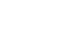 Duke Aviation logo