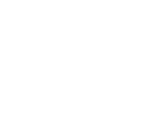 Elite Aircraft Services logo