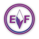 Ember Flash Aerospace, Inc. logo