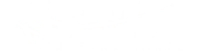 Favia International logo