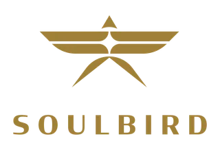 FlySoulbird logo