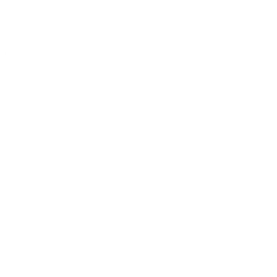FlyVaunt logo