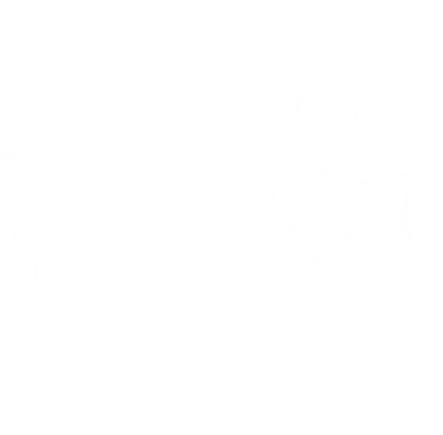 Fokker Services Group logo