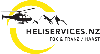 HeliServices.NZ logo
