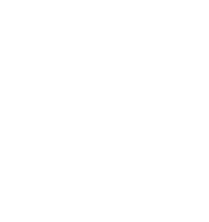 JetWash Aircraft Cleaning logo