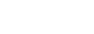 Last Shadow LLC logo