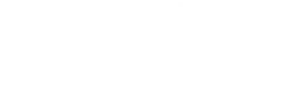 Maritime Launch Services logo