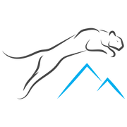 Mountain Lion Aviation logo