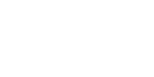 Nassau Flyers logo