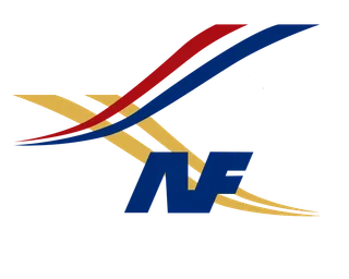 National Flight Services logo