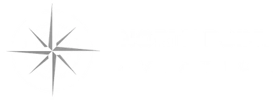 North Point Aviation logo
