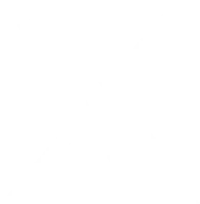 NukkAI logo