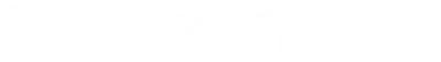 Pacific Aero Tech logo