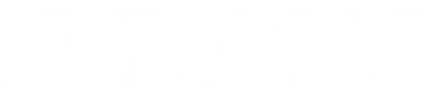 Panair logo