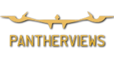 PANTHERVIEWS logo
